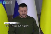 开云体育登录-包含荷兰vs乌克兰：实力对话，谁将夺得胜利的词条