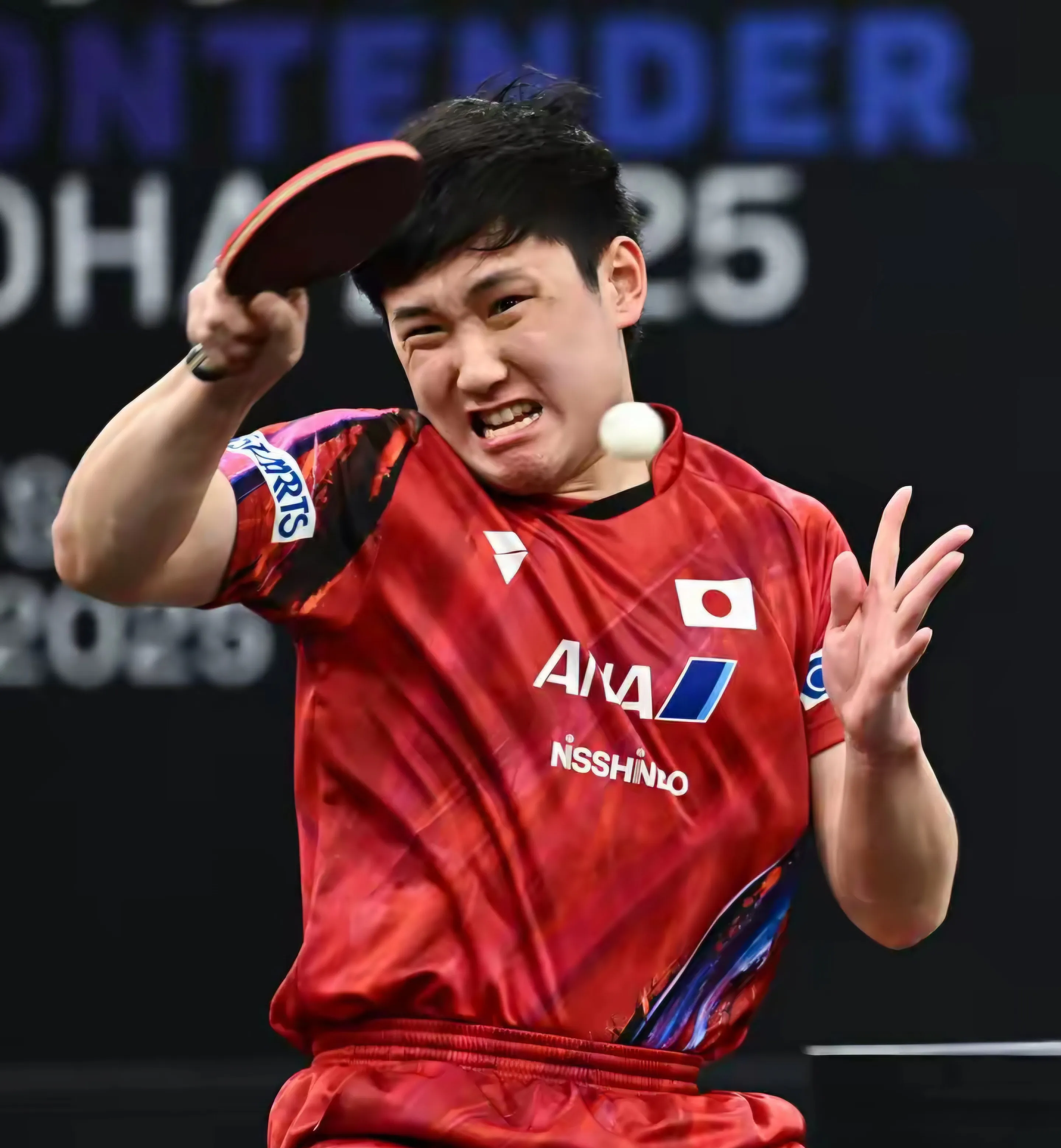 关于奥地利乒乓球队强势法国乒乓球队,张本智和关键制胜的信息 关于奥地利乒乓球队强势法国乒乓球队,张本智和关键制胜的信息