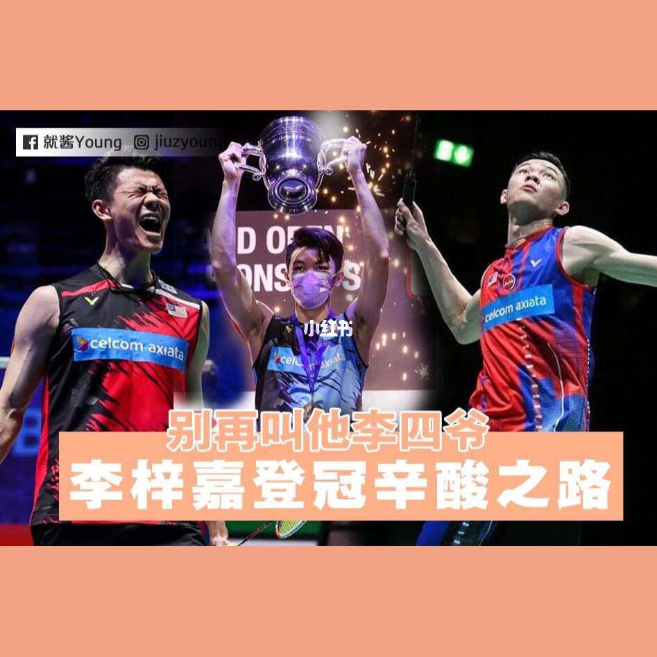 德国队力克丹麦队,李梓嘉带队取胜 德国队力克丹麦队,李梓嘉带队取胜