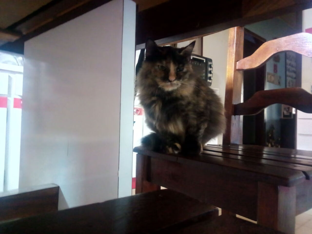 德罗赞两万分之夜，快船险胜深圳揭示篮球本质