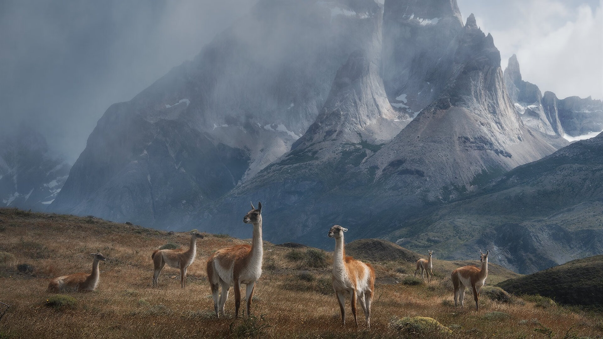 武切维奇生涯之夜助吉林力克黄蜂，外援政策下的本土英雄崛起