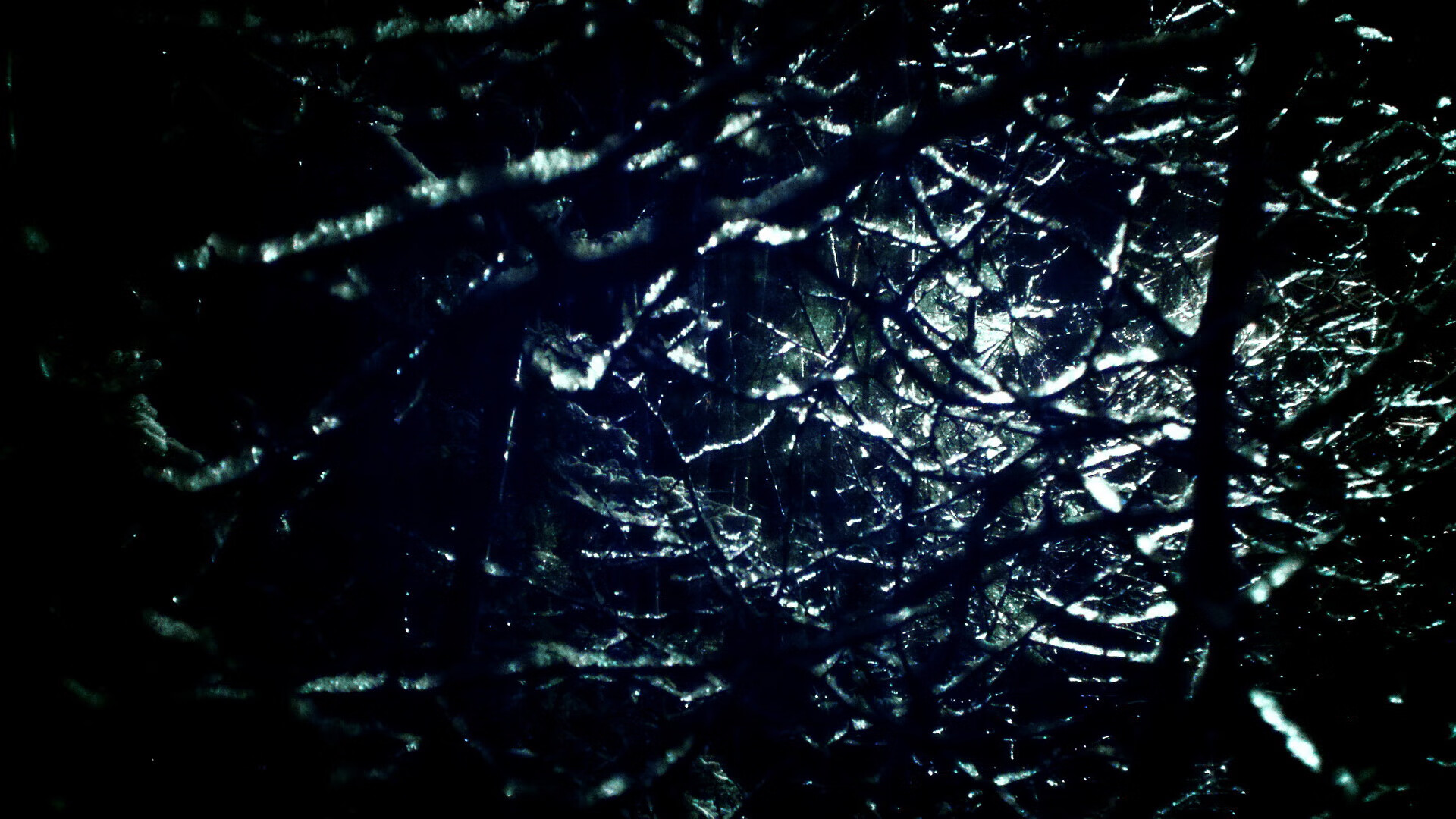 加克波，攻防转换的核心，世界排名之夜的关键先生