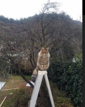 西甲国家德比之外的欧洲狂想曲,曼城补时绝杀马赛,欧冠舞台再现经典