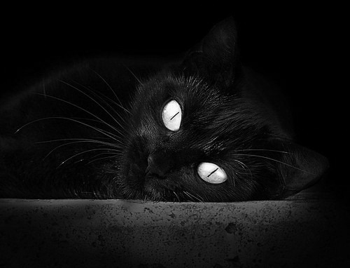 塔图姆关键时刻连斩分助球队逆袭,尼克斯早早击溃森林狼悬念全无