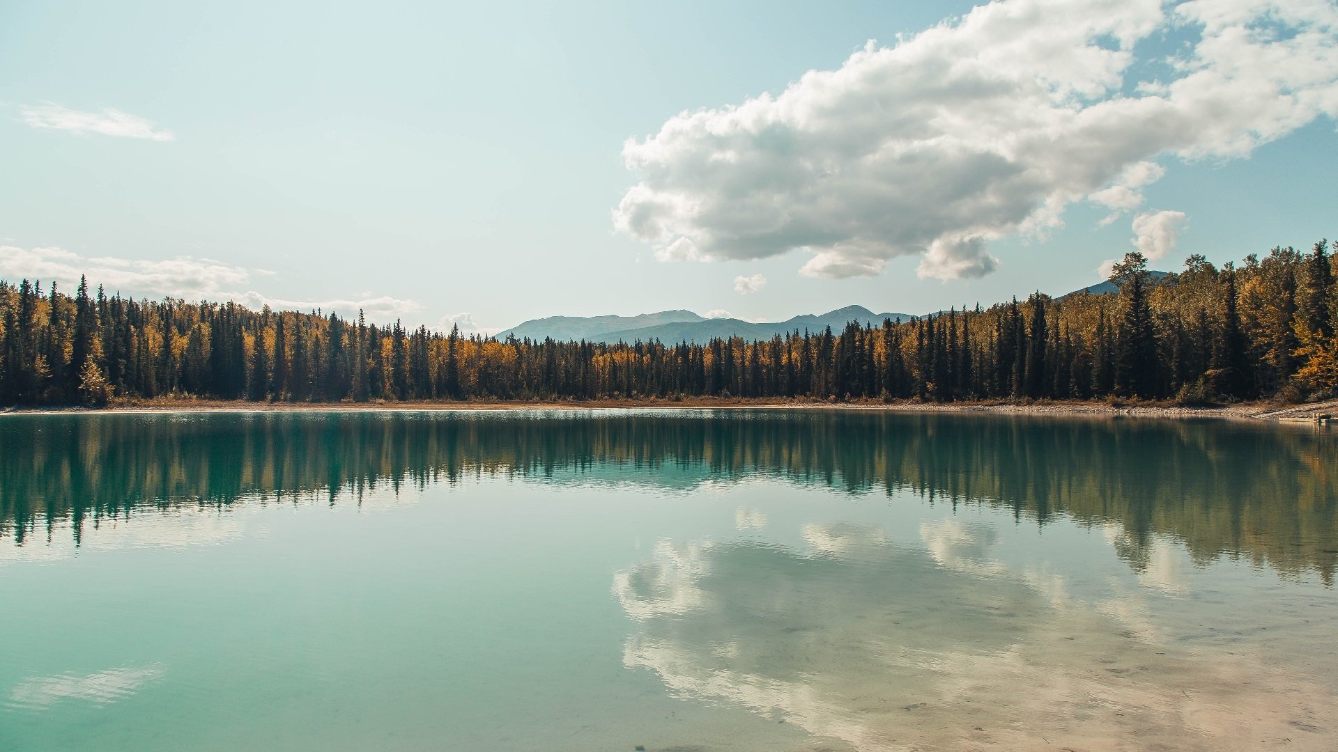 麦迪逊花园的尖叫与硝烟，浓眉单骑救主，尼克斯强行终结奇才