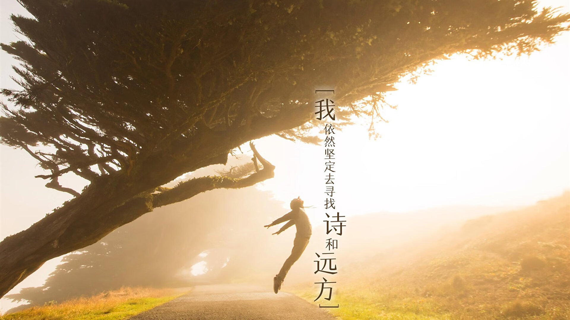 步行者vs独行侠，詹姆斯关键一投定乾坤