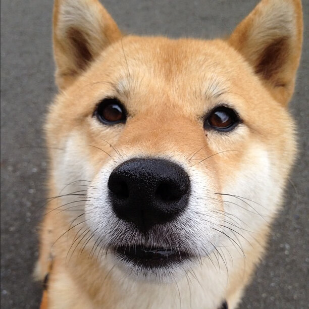 冰与火之歌，深圳的混凝土防守与文班亚马的德甲天赋盛宴