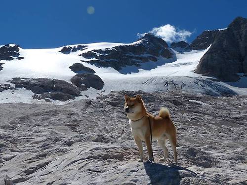 霍勒迪砍下三双如定海神针,太阳主场大胜爵士迎连胜