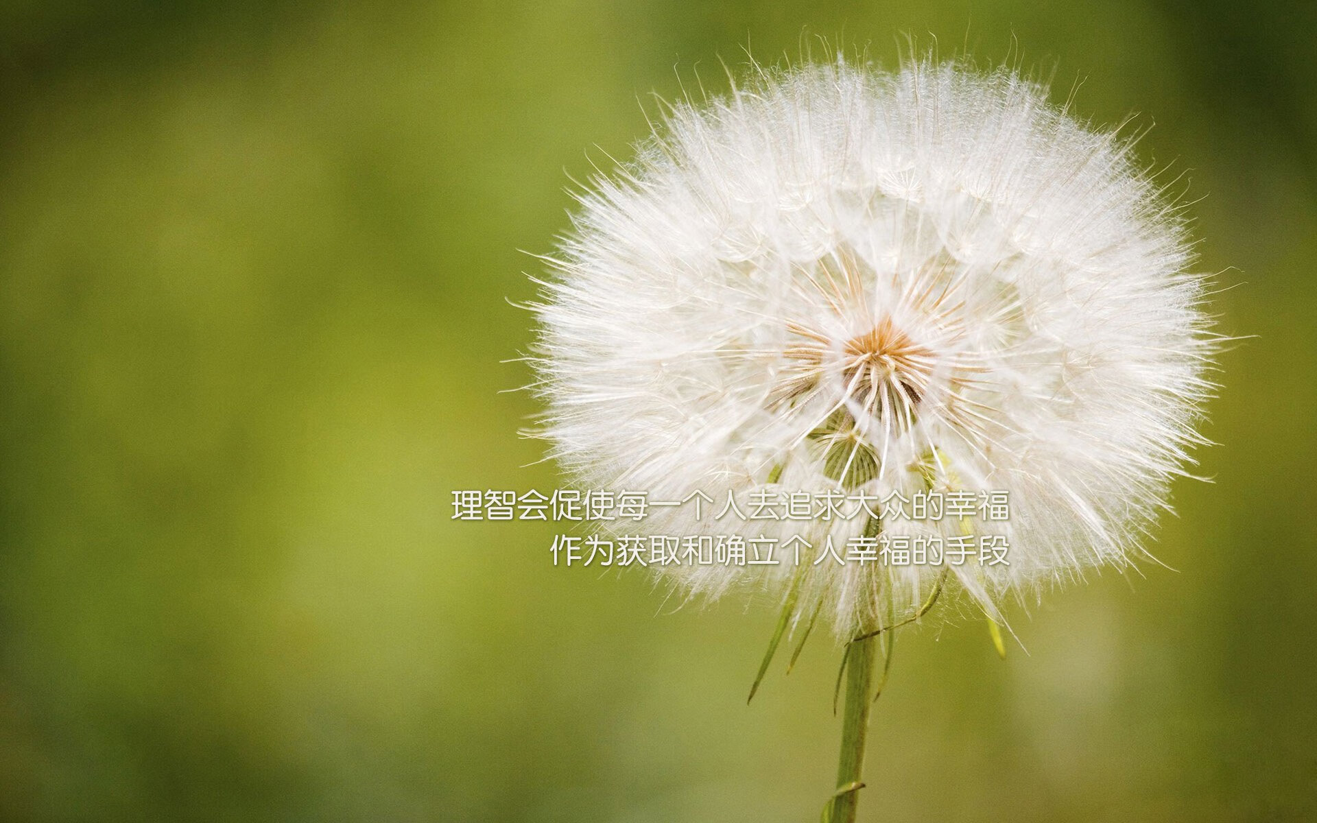 灰熊对阵火箭，克莱末节独砍17分，我从未离开