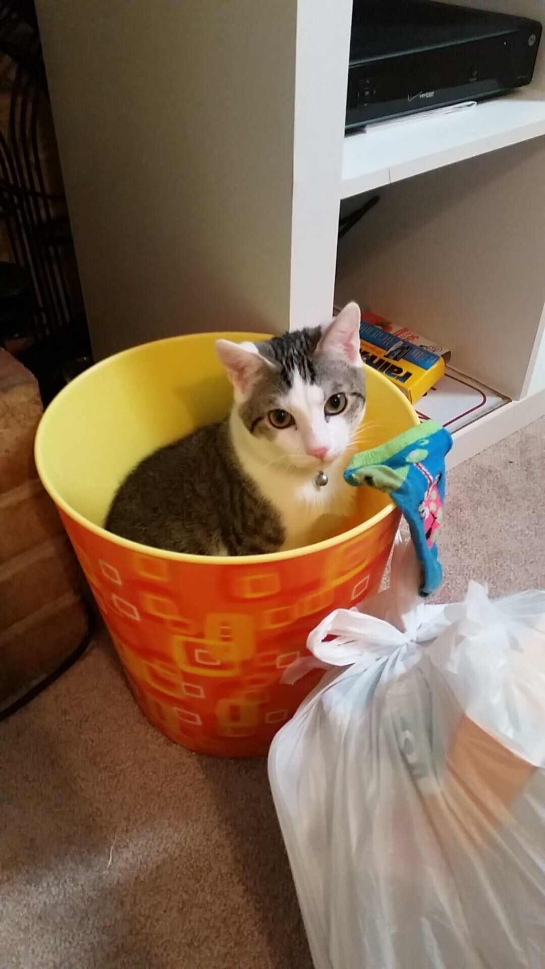 绝杀与超车，当江城哨响遇见引擎咆哮