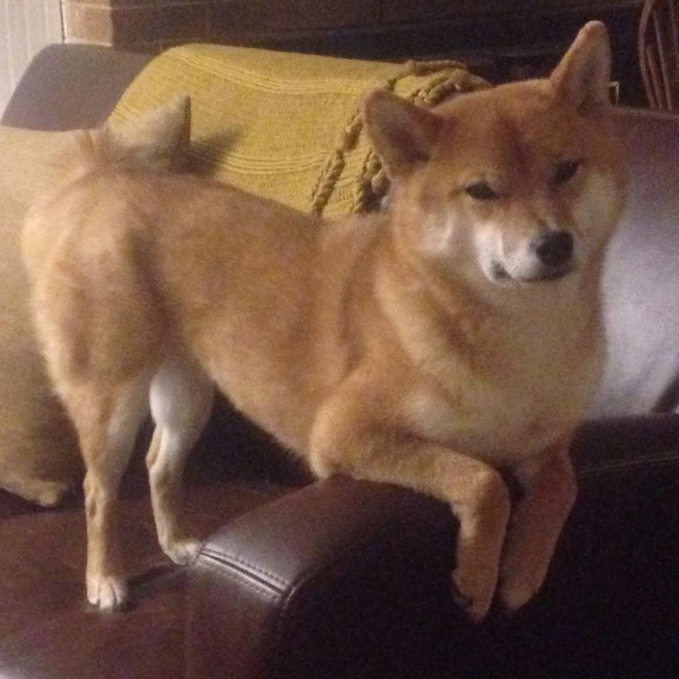 奇才过关,布局关键,一个人打碎山西,MVP无争议的孤胆表演