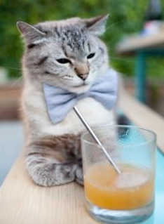 沉默423天后,他在国家德比之夜将星辰穿在身上