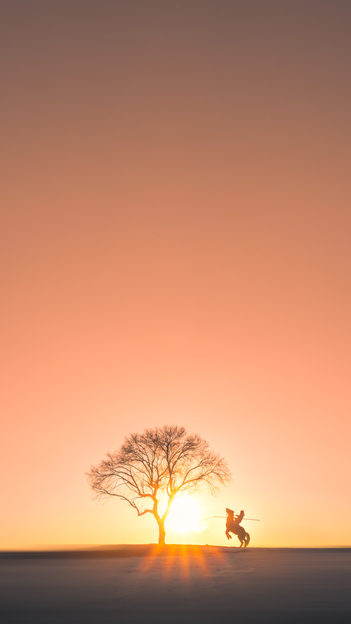 洛杉矶双雄决战达拉斯，爱德华兹死神时刻撕裂僵局