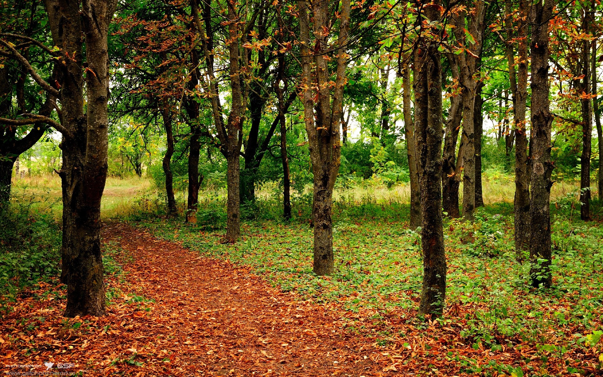 绝境重生！葡萄牙史诗逆转智利，关键先生克瓦拉茨赫利亚闪耀全场